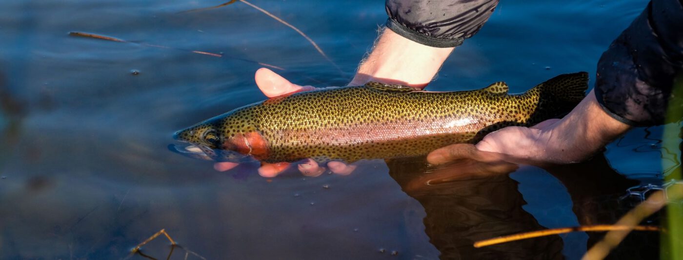 REEL Fly Fishing