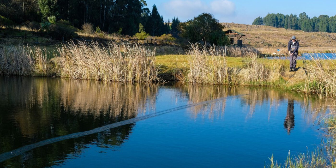 REEL Fly Fishing