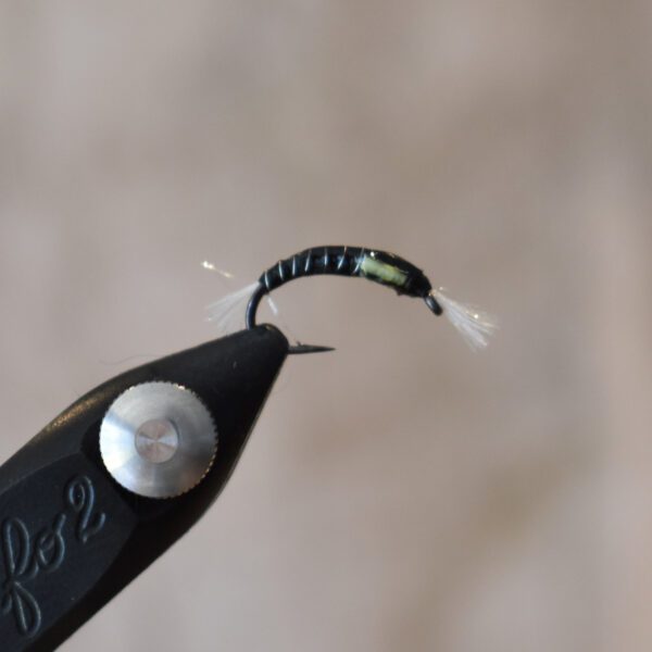 Buzzers & Bloodworms