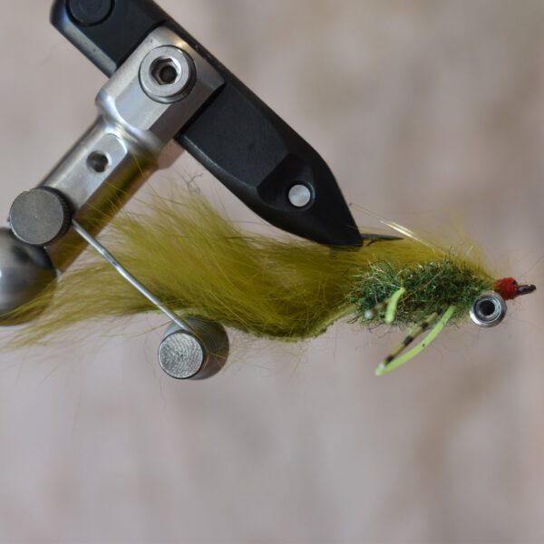 MSP | Largemouth Yellowfish - Image 2