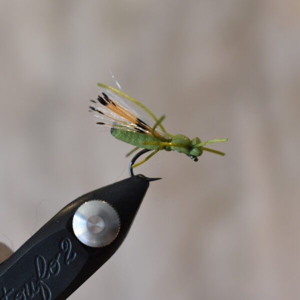 Sterkies Hoppers - Image 3