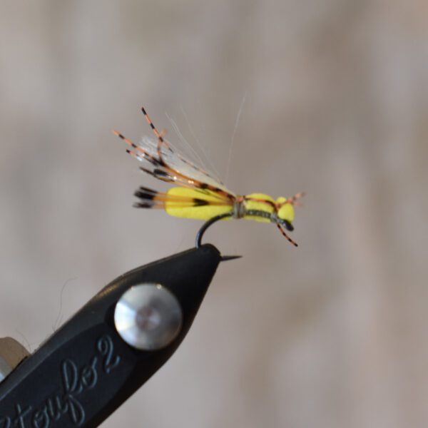 Sterkies Hoppers