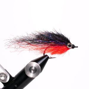 Mini Tiger Minnows