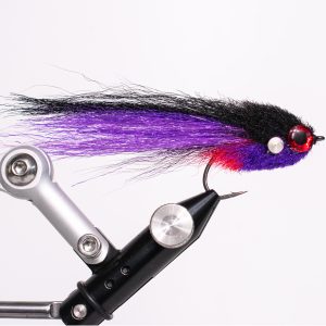 Tiger Brush Fly