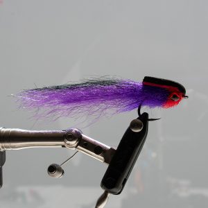 Tiger Stella Fly