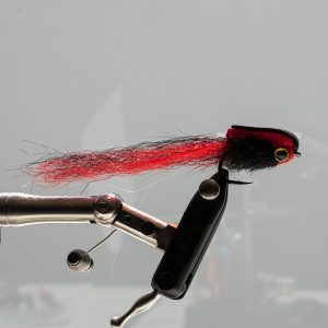 Alternative view of Tiger Stella Fly