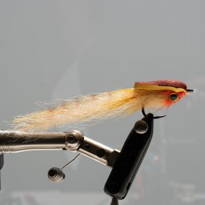Tiger Stella Fly - Image 3