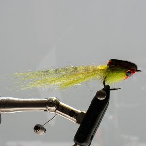 Tiger Stella Fly - Image 4